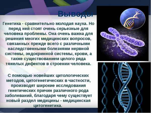 
    Урок по биологии на тему: "Генетика и человек"

      