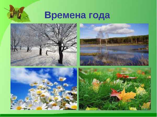 
    Урок природоведения в 5-м классе на тему: "Природа России"

      