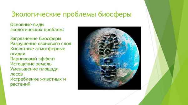 
    Интегрированный урок по биологии и информатике на тему: "Роль человека в биосфере. Экологические проблемы озера Байкал"

      