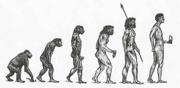 
    Урок-рассуждение "Гомосапиенс — промежуточный или финальный этап эволюции?", 11-й класс

      