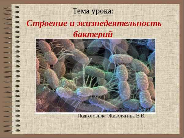 
    Интегрированный урок (биология + математика) по теме "Бактерии, их строение и жизнедеятельность"

      