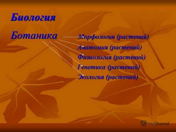 
    Интегрированный урок: биология + русский язык по теме "Осень глазами поэта и ученого"

      