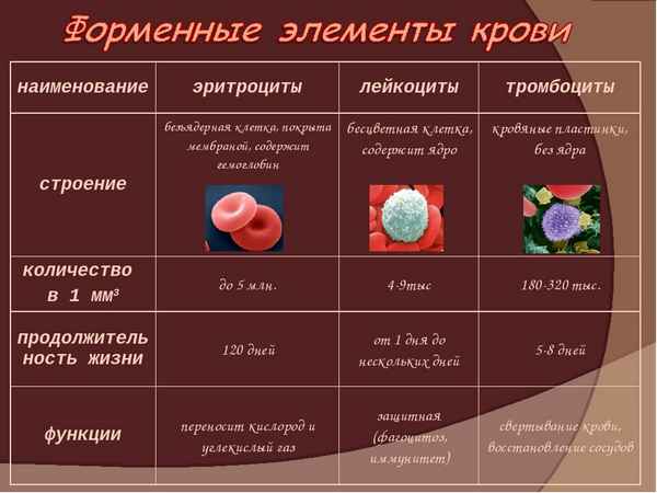 
    урок биологии: "Клетки крови. Эритроциты и лейкоциты. Малокровие"

      