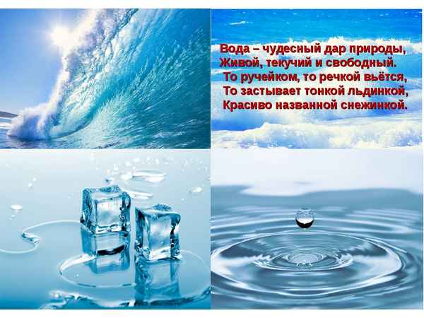 
    Вода – удивительный дар природы

      