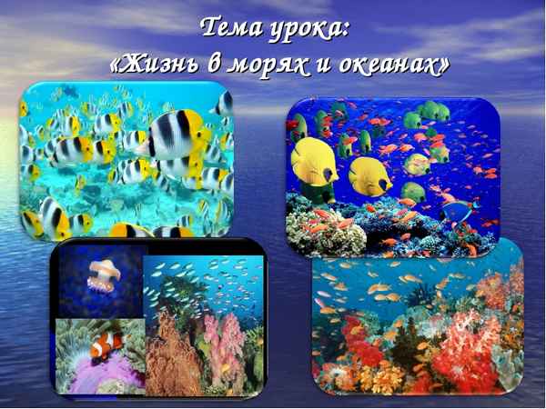 
    Открытый урок биологии в 5-м классе. Тема: "Жизнь в морях и океанах"

      