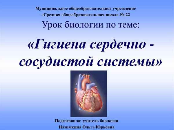 
    Урок биологии по теме "Гигиена сердечно-сосудистой системы"

      