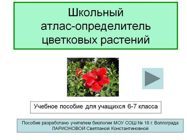 
    Электронный образовательнй ресурс "Школьный атлас-определитель цветковых растений"

      