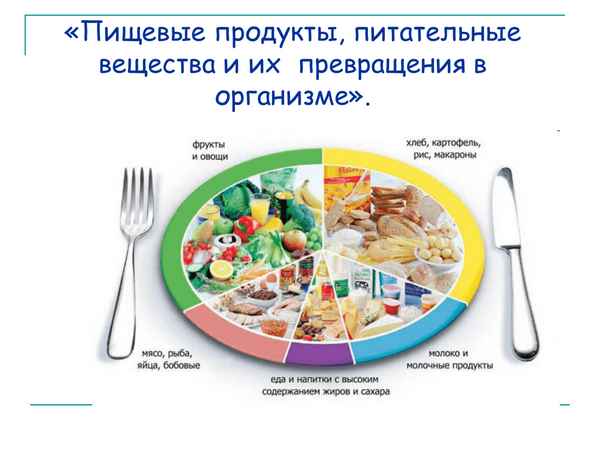 
    Пищевые продукты, питательные вещества и их превращения в организме

      