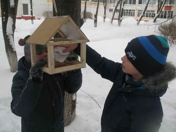 
    Изготовление кормушек для зимующих птиц (мастер-класс)

      