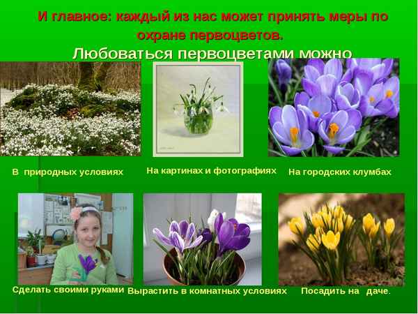 
    Методическая разработка биологической экскурсии "Жизнь растений весной, или Экспедиция в мир первоцветов"

      