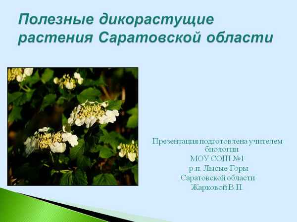 
    Полезные дикорастущие растения Саратовской области

      