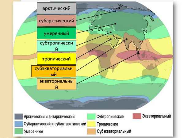 
    Интегрированный урок (география + биология) по теме "Природные зоны Евразии. Арктический, субарктический и умеренный пояса"

      
