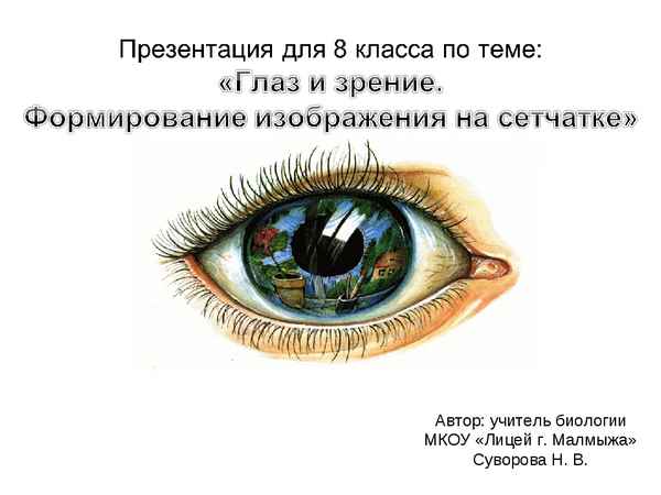 
    Урок по биологии в 8-м классе "Глаз и зрение. Формирование изображения на сетчатке"

      