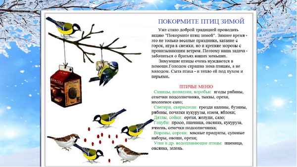 
    Урок-праздник "Покормите птиц зимой!". 2-й класс

      