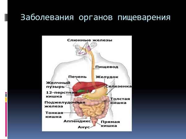 
    Заболевание органов пищеварения. 8-й класс

      