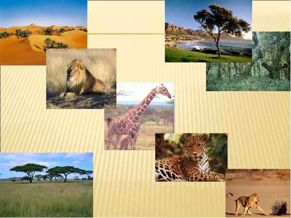
    Интегрированный урок (география + биология) по теме "Природные зоны Африки"

      