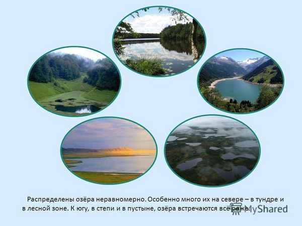 
    Урок-путешествие "Природные сообщества долины реки Амга"

      