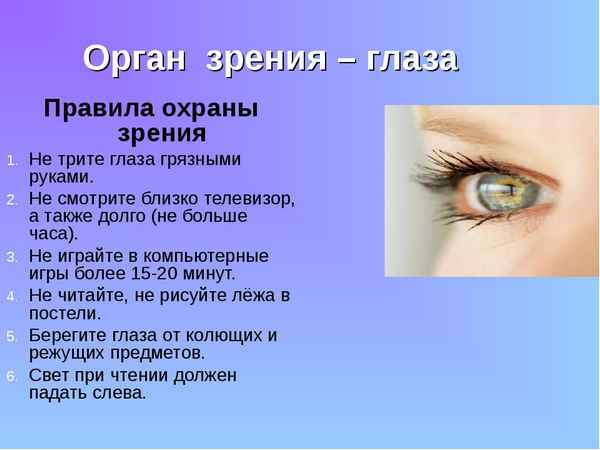 
    Урок по теме "Глаза и зрение"

      