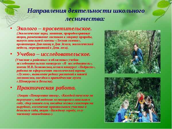 
    Программа экологического кружка "Растительный мир Кологривского района и экологическое воспитание школьников"

      