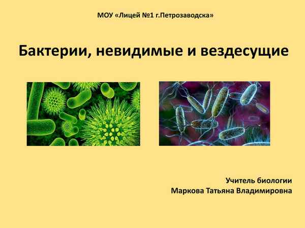 
    Урок биологии по теме "Бактерии – незримые и вездесущие"

      