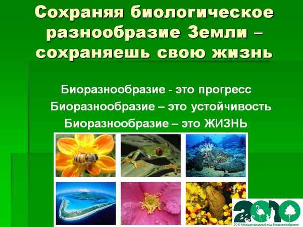 
    Урок-конференция "Биоразнообразие рыб, их образ жизни, поведение"

      