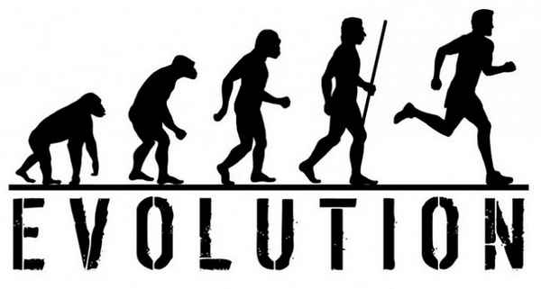 Результаты эволюции